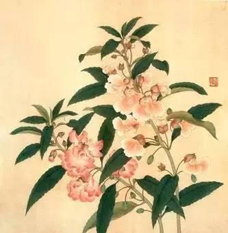 古代女子指甲的丹蔻描写(古代女子指甲的丹蔻是什么)