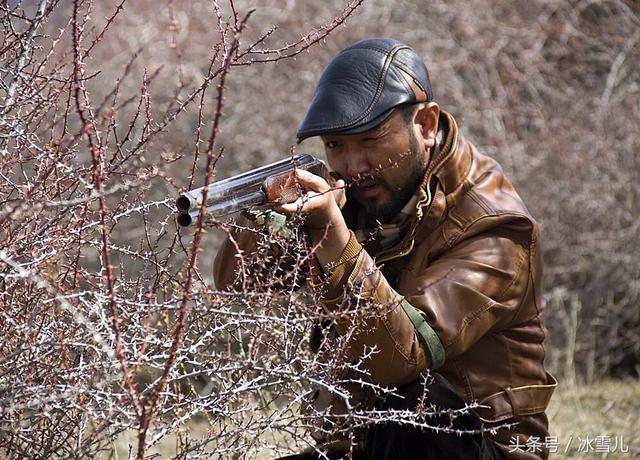 电影血狼犬蓝波(血狼犬蓝波电影解说)_手工miao
