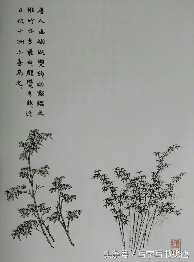 怎么画杏树