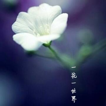 柳泉体育