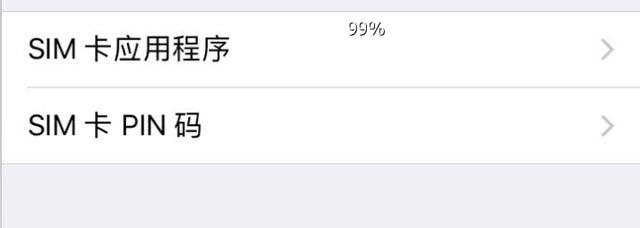 pin是什么