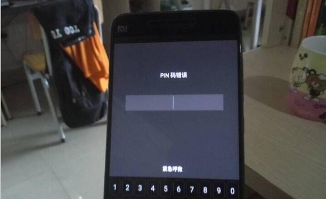 pin是什么