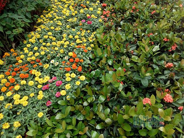 [动感安卓渠道]，酷比手机能装微信吗