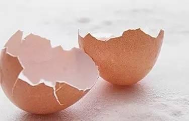 鸡蛋壳可以回收吗（鸡蛋壳回收的厂家）