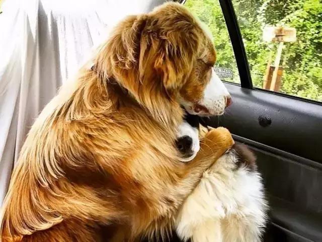 表情就说明了一切:诡计多端的婊子,我回去找我爸收拾你!