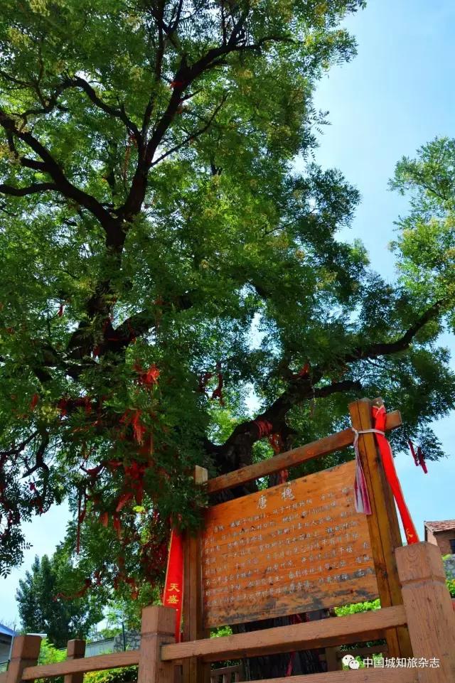 长寿镇-淮北南山村_安徽旅游/玩耍攻略