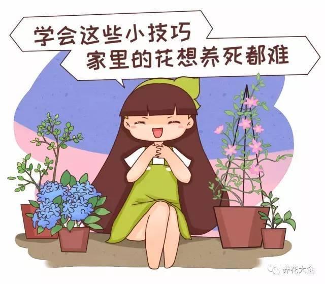 养花技巧