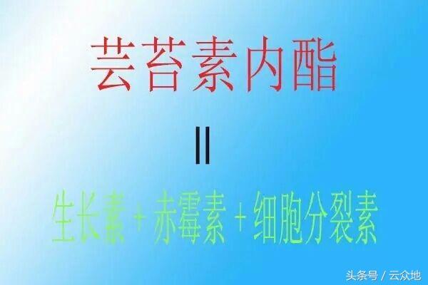 水稻上使用芸苔素内酯：苗健壮、返青快、早抽穗，重点是增产！8