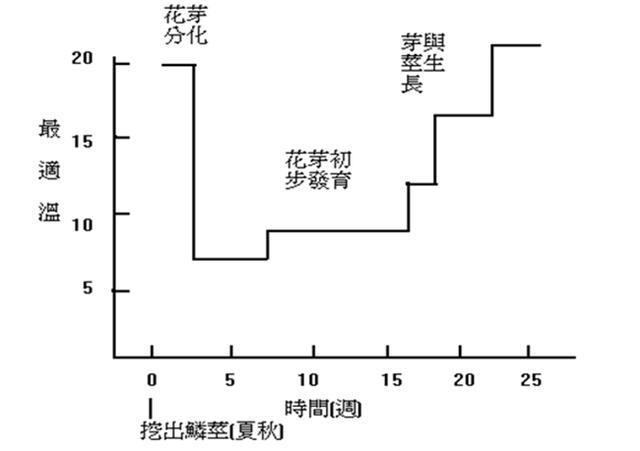 果树栽培技术｜促果树花芽分化的八个措施7