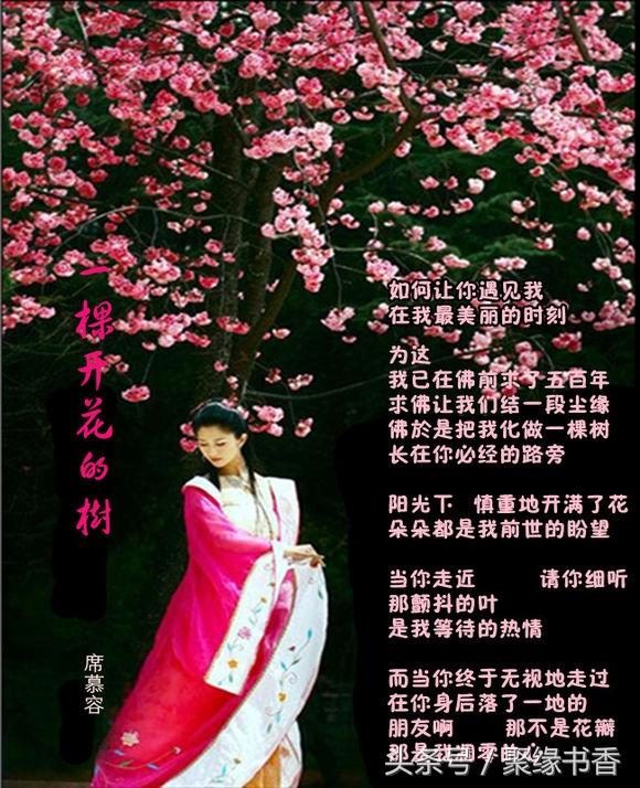 一,席慕容一棵开花的树朗诵