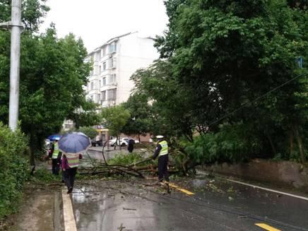 重庆暴雨致道路塌方多车掉落