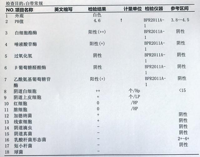 白带检查白细胞酯酶阳性两个加号什么意思