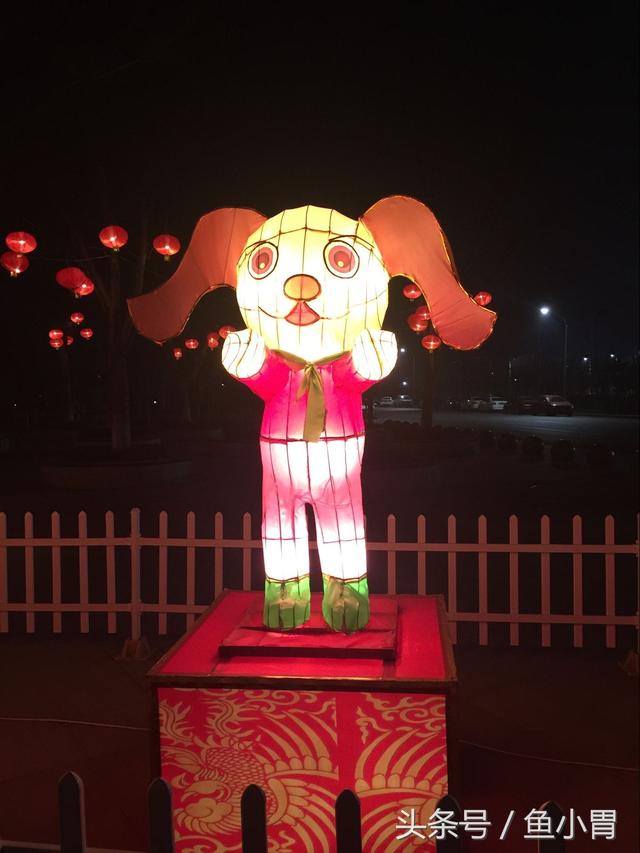 独字肖什么意思是什么生肖