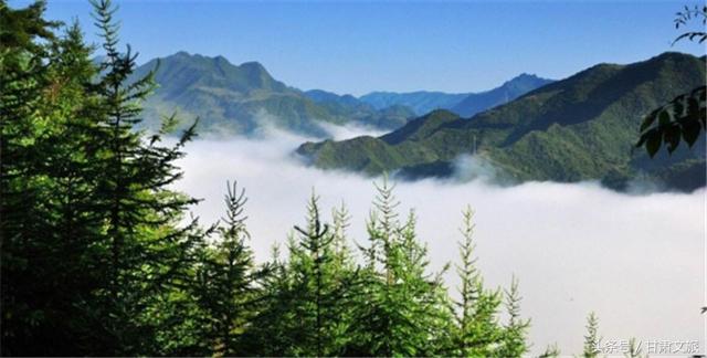 卓尼狼牙破碎机