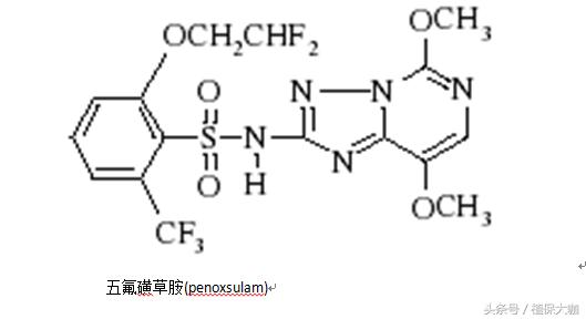 磺酰脲类除草剂你只知道双氟磺草胺和五氟磺草胺？还有更多等着你12