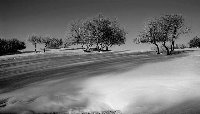 什么风凛冽 什么风凛冽(什么风凛冽的成语) 综合