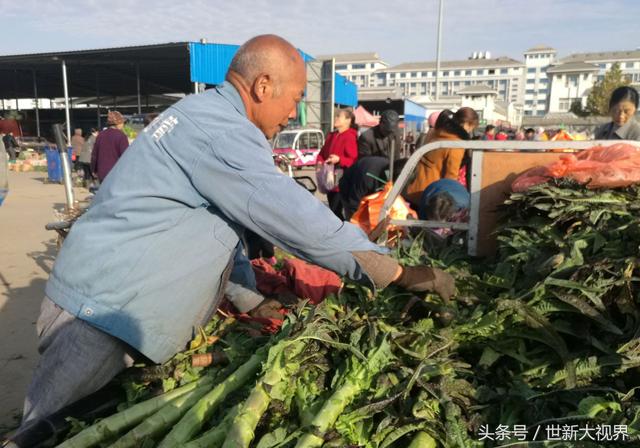 李大爷卖的香莴苣，每根莴苣上面都有紫痕，他说都是本地的香莴苣6