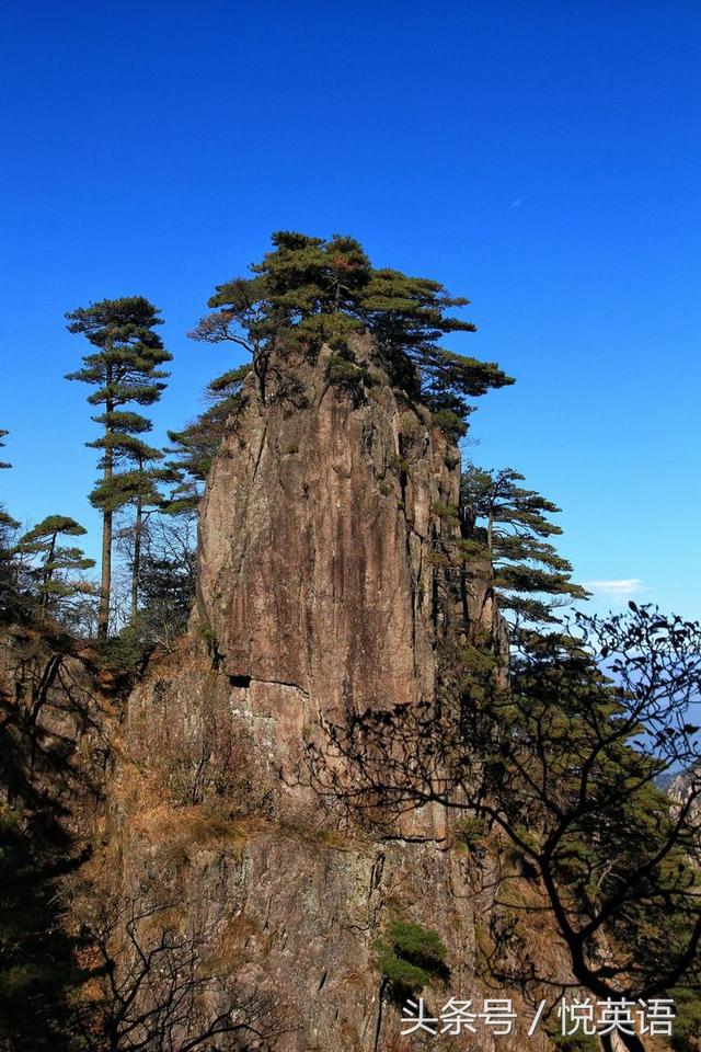 赞美黄山的诗句（黄山最出名的一句话）(19)