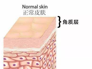 QV身体乳安全吗