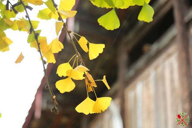 荥阳花岗岩制砂机厂家
