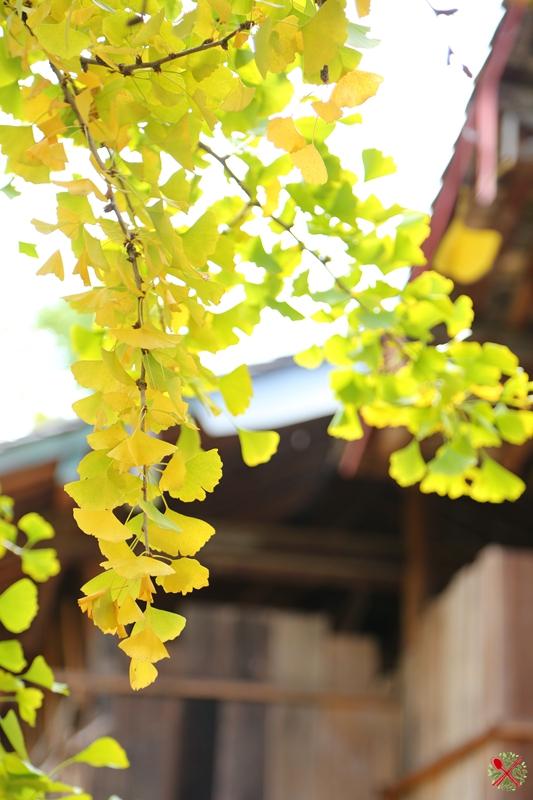 荥阳花岗岩制砂机厂家