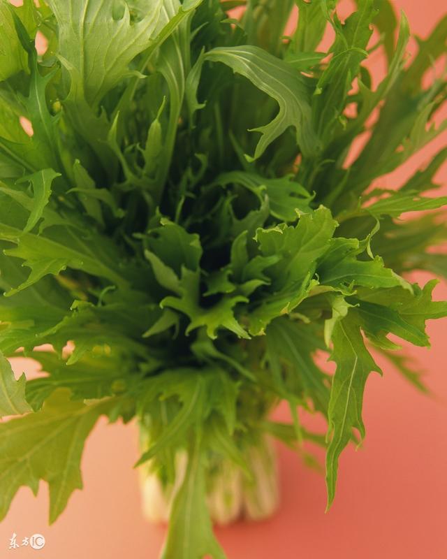 雪里蕻的功效