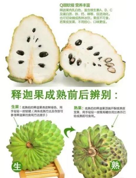 释迦果什么样是熟透 释迦果啥样是熟的