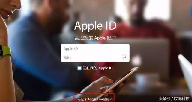 appleid密码找回