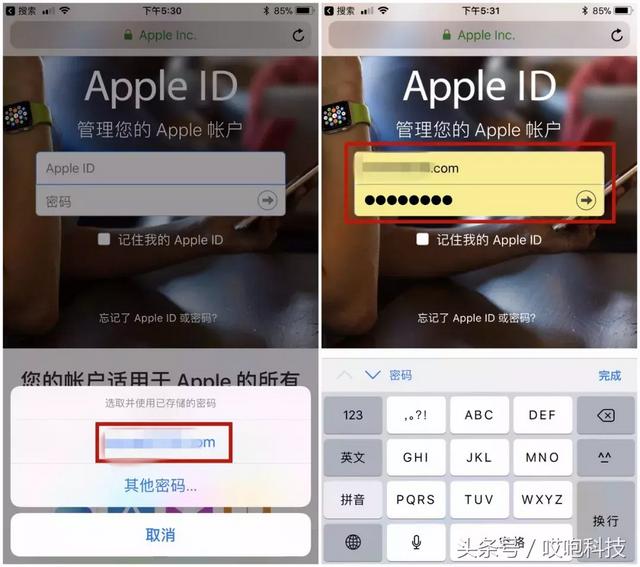 appleid密码找回