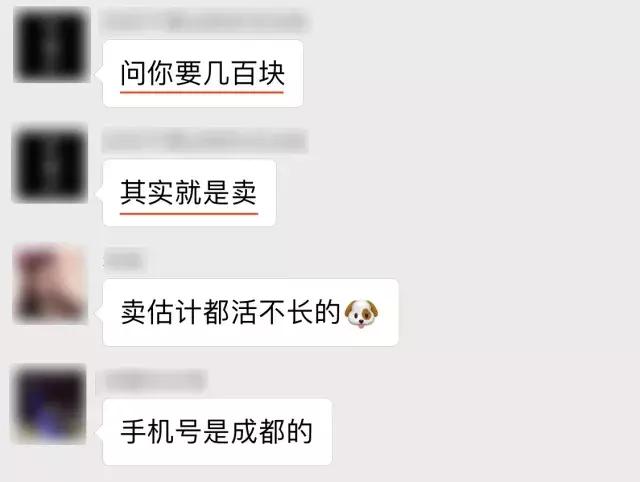 比格犬论坛