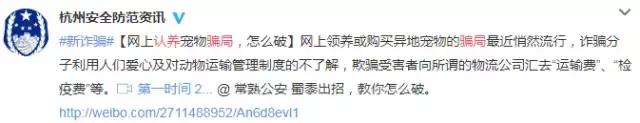 比格犬论坛