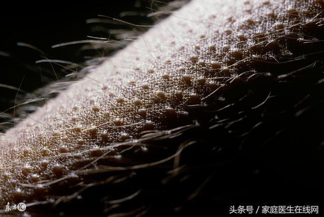总是冷的起鸡皮疙瘩