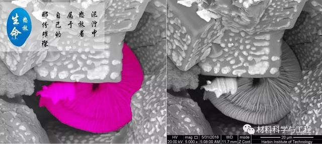 海口旱地球磨制砂机