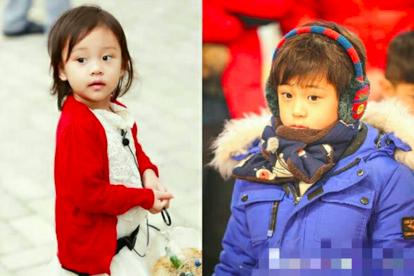 贾乃亮喜得双胞胎是男孩还是女孩贾乃亮喜得双胞胎是真的吗