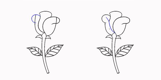 簡筆畫玫瑰簡筆畫玫瑰花