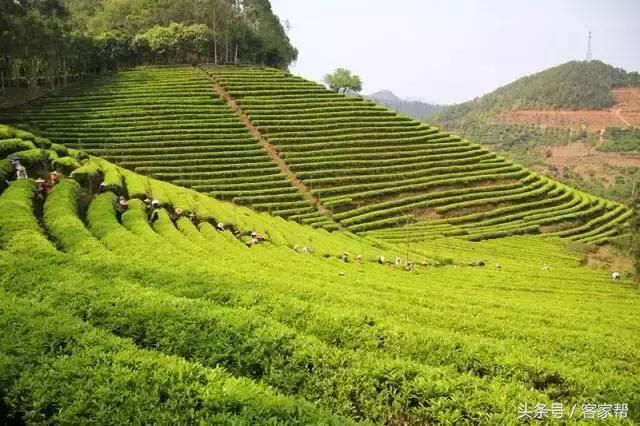 梅县旅游