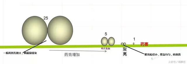 说说这个杀菌剂为何能让植物病害防治变得简单高效7