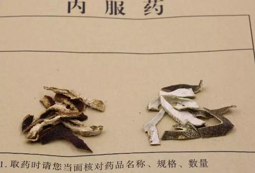 贝母是什么 贝母是什么（贝母是什么材质） 生活