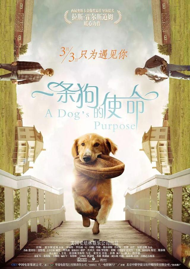 警犬电影