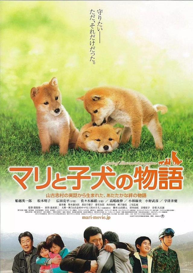 关于狗的电影