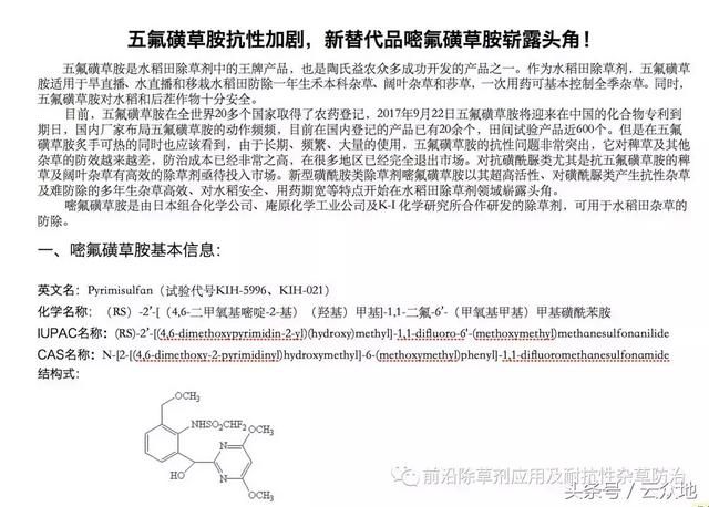 水稻田除草剂五氟磺草胺抗性加剧，这个产品据说是最佳替代品！2