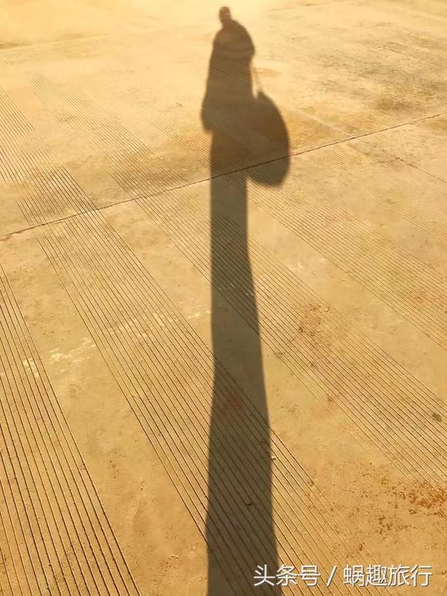 盘锦轮盘式洗砂机报价