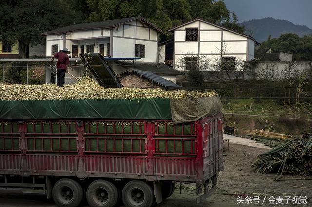 竹子破碎机视频大全集