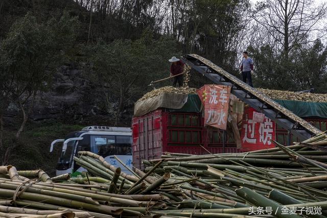 柴油版竹片破碎机
