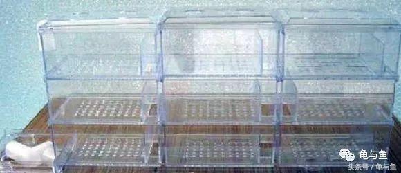 圆筒筛砂螺旋洗沙一体机厂家