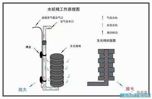 圆筒筛砂螺旋洗沙一体机厂家