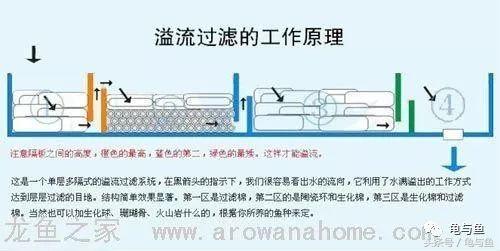 圆筒筛砂螺旋洗沙一体机厂家