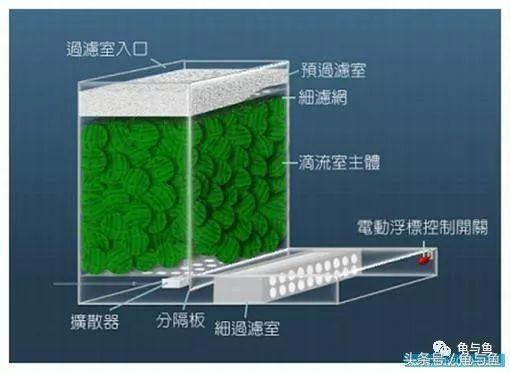 圆筒筛砂螺旋洗沙一体机厂家