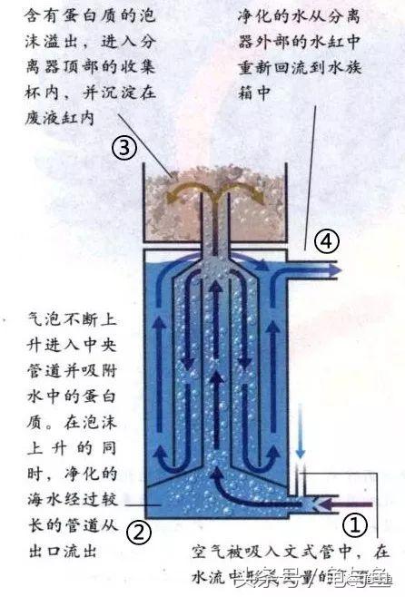 圆筒筛砂螺旋洗沙一体机厂家