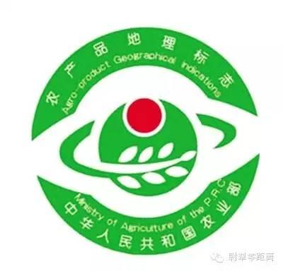 新疆罗布麻茶